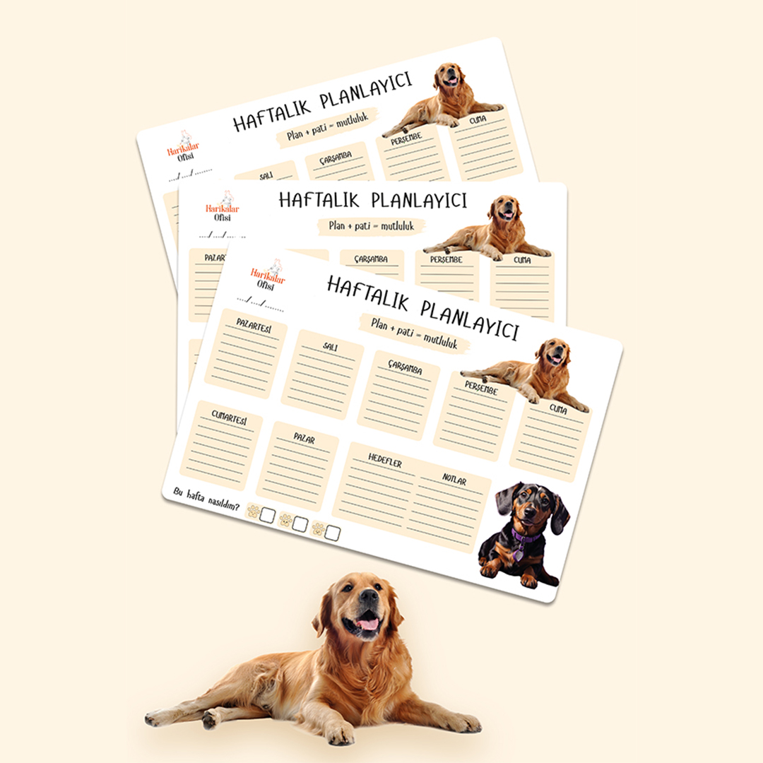 Köpek Tasarımlı 3'lü Planlayıcı Set